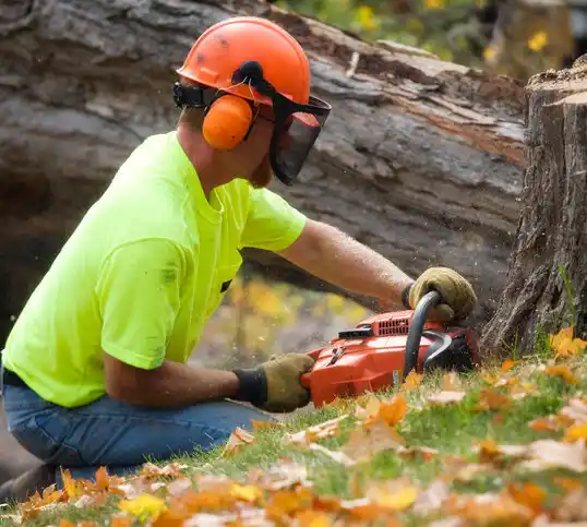 tree services Villa Ridge